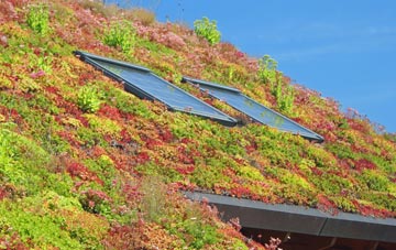 Legerwood living roof systems