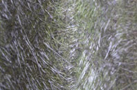 Legerwood fibreglass roof work