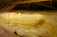 Legerwood pitch roof insulation